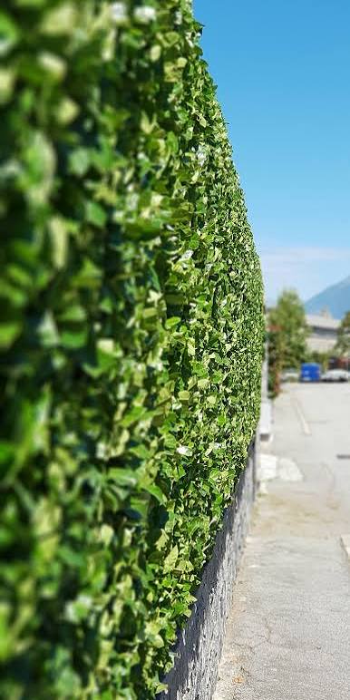 Potatura Alberi e Siepi